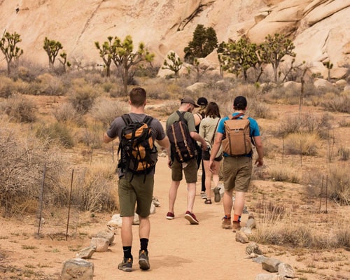 eco-cruises in Netherlands